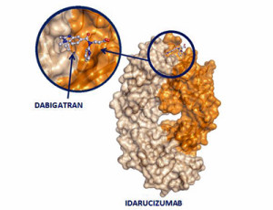 idarucizumab