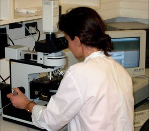 analisi campioni al microscopio