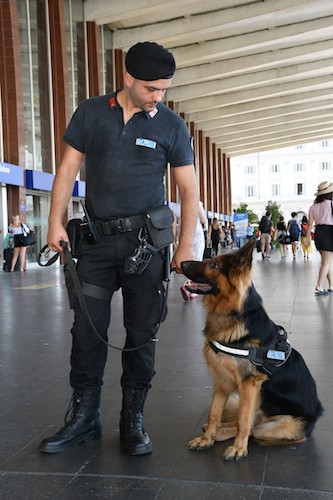 Il fiuto dei cani alleato contro il Covid-19: Italpol Vigilanza avvia l'addestramento