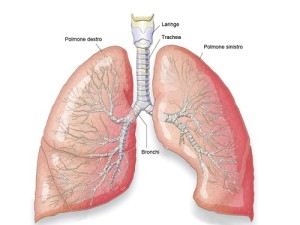 Nuovi risultati da indagine internazionale: 2 pazienti su 3 affermano di essere stati coinvolti nella decisione sulla terapia più adatta per il trattamento della Fibrosi Polmonare Idiopatica (IPF)