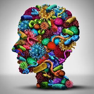Corso ECM - Effetto psiconeuroenterico la relazione tra sentire e mangiare, tra cervello e microbiotica