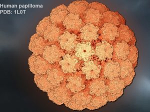 Papilloma virus, a Parma diagnosi e prevenzione