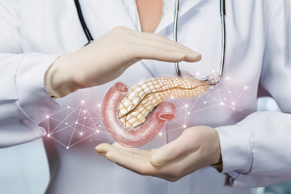 Pancreas E1648235969556
