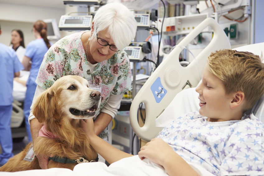 Pet Therapy