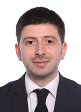 Roberto Speranza Daticamera 2013