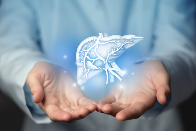 Malattie Croniche Del Fegato: Al Centro La Formazione Dei Medici Di Medicina Generale Per Percorsi Di Cura Tempestivi Nella Presa In Carico Del Paziente