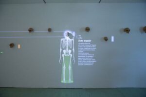 Venti Di Scienza. Come Cambia La Scienza. E Noi Con Lei Al Bergamo Science Center Fino Al 23 Dicembre