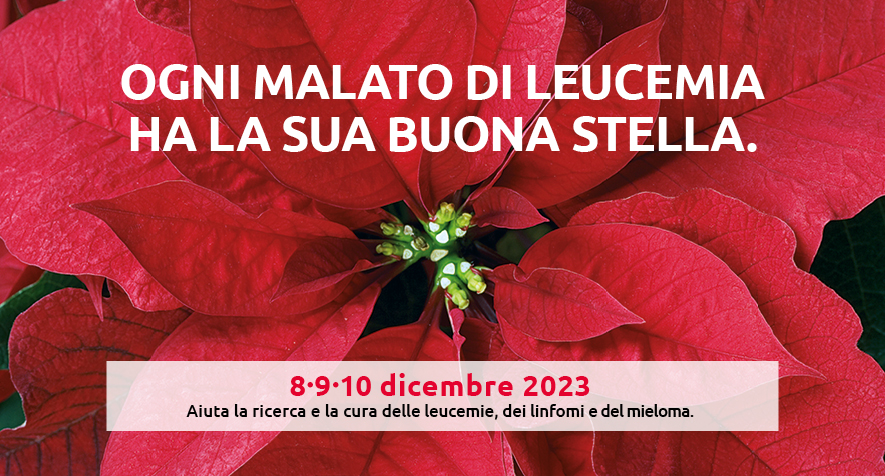 L’8, 9 E 10 Dicembre Tornano Le Stelle Di Natale Ail