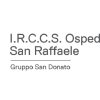 ospedale-san-raffaele-logo